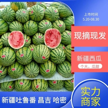 【推荐】新疆西瓜金城5号西瓜代办耐运输个头大可视频