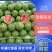 【推荐】新疆西瓜金城5号西瓜代办耐运输个头大可视频