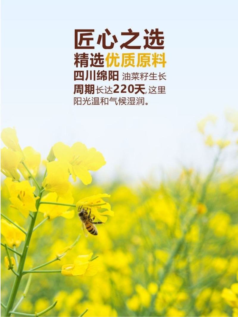[5斤菜籽油]农家菜籽油非转基因食用油农家自榨批发