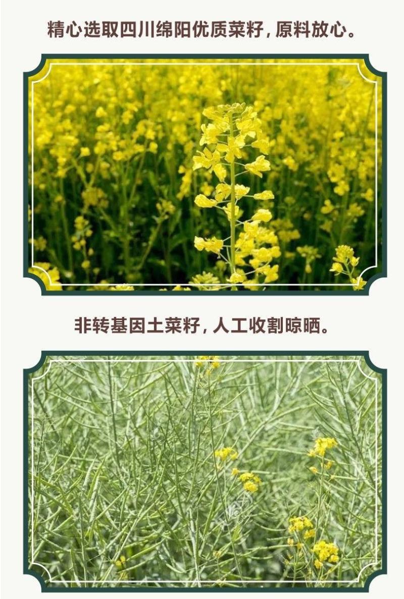 [5斤菜籽油]农家菜籽油非转基因食用油农家自榨批发