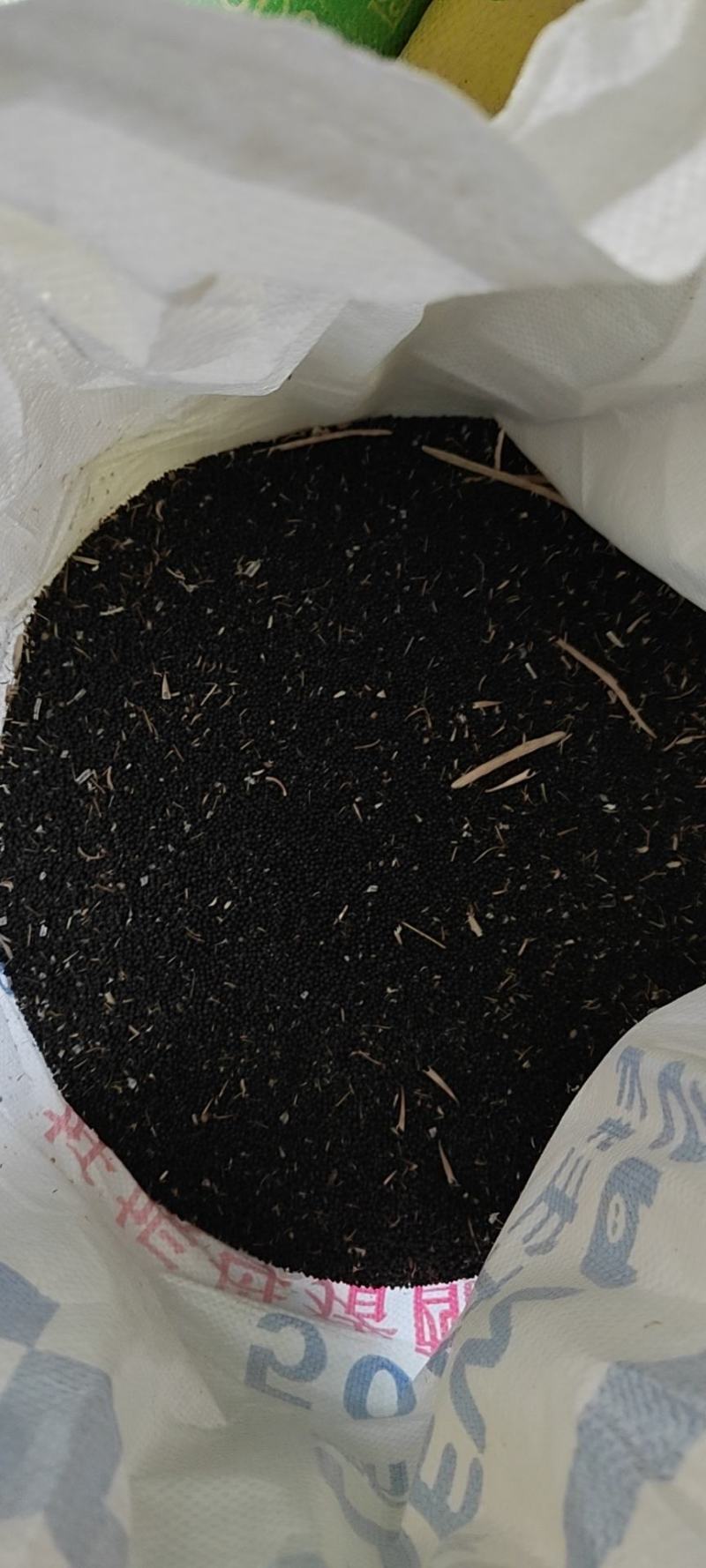 油菜籽，毛籽，新品刚刚上市，有需要的老板请联系我