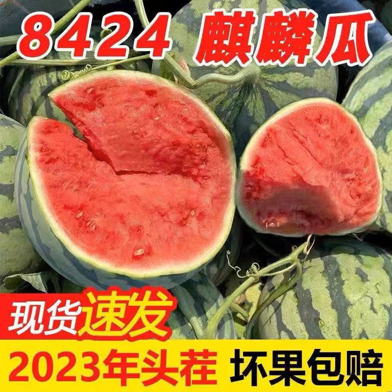 麒麟瓜精品货，口感好，甜度13个以上，货源充足欢迎咨询