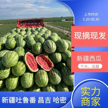 【推荐】优质安农二号西瓜个大耐运输，瓜瓤细脆，发货源头