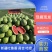 【推荐】优质安农二号西瓜个大耐运输，瓜瓤细脆，发货源头