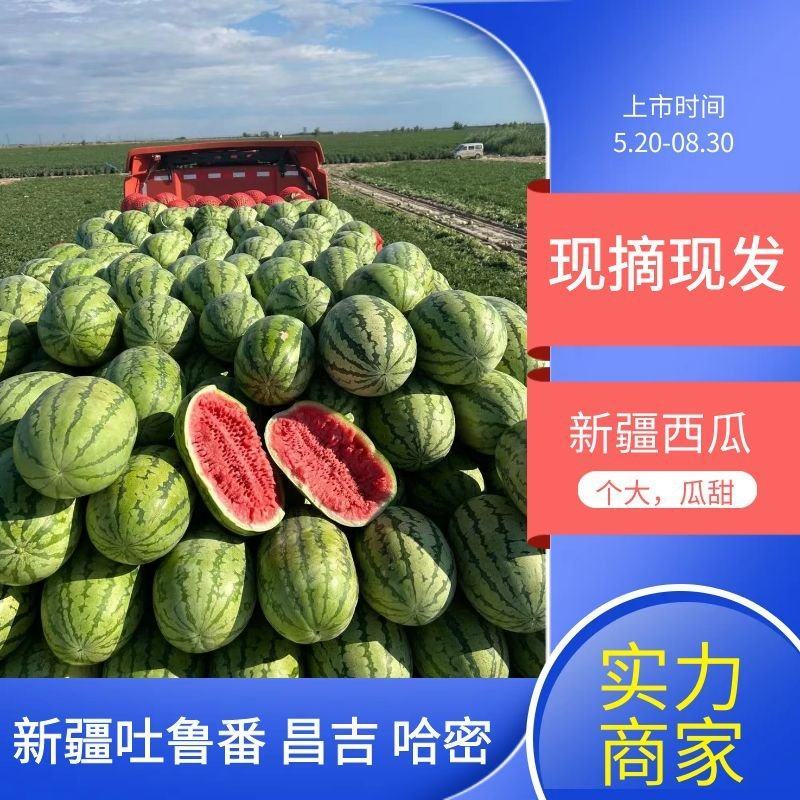 【推荐】优质安农二号西瓜个大耐运输，瓜瓤细脆，发货源头