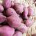 湖北襄阳红薯，紫薯大量上市中，欢迎老板视频看货