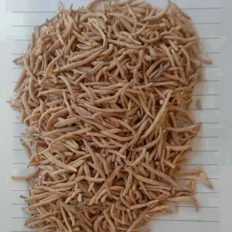 太子参