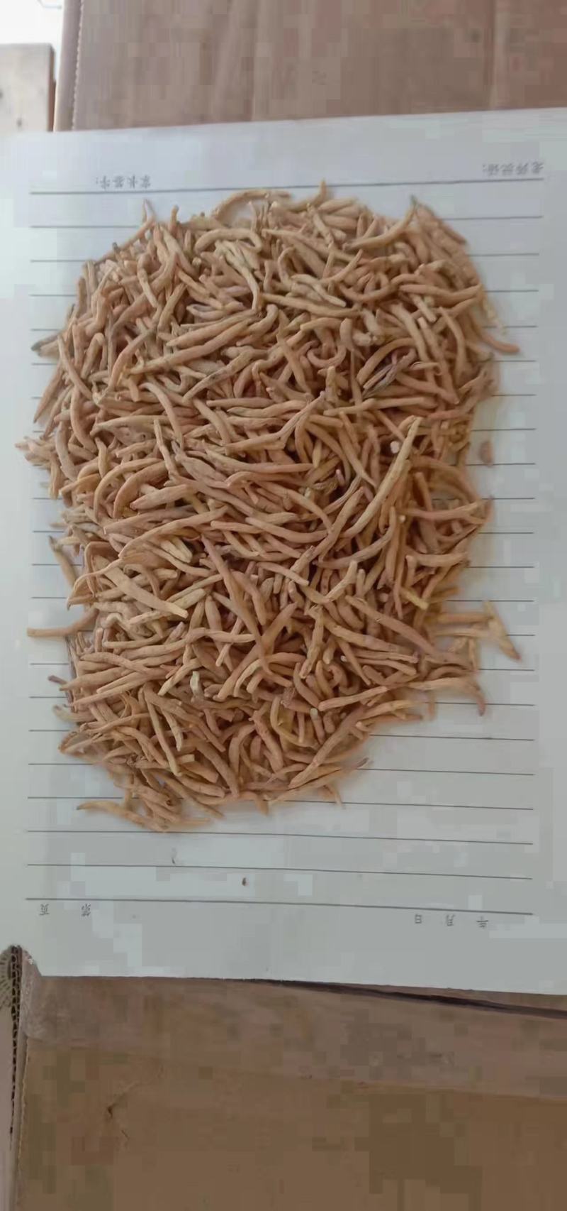 太子参
