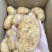 土豆-/荷兰十五土豆/湖北土豆/上市中需要的老板联系