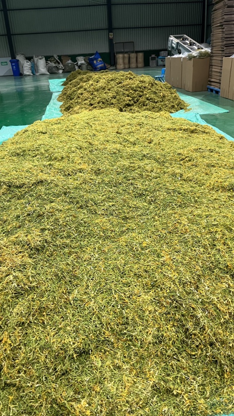 五彩金银花