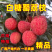 白糖罂荔枝新鲜上市广西荔枝白糖罂产地直供专业代办