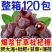 胖大海甘草枇杷薄荷润喉糖润干嗓清凉糖果