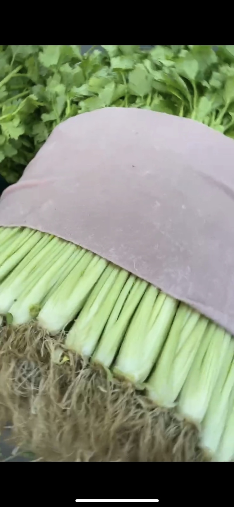 空心芹，