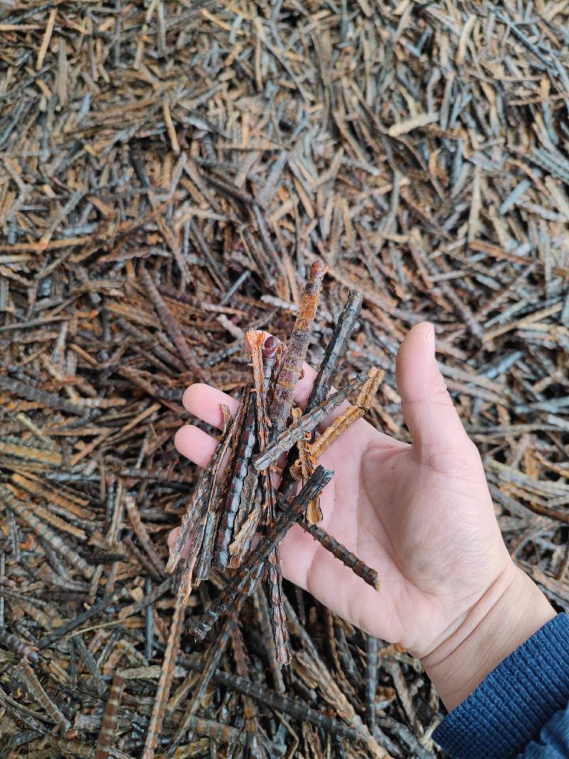 选装蜈蚣优质昆虫药材产地直发大量供应