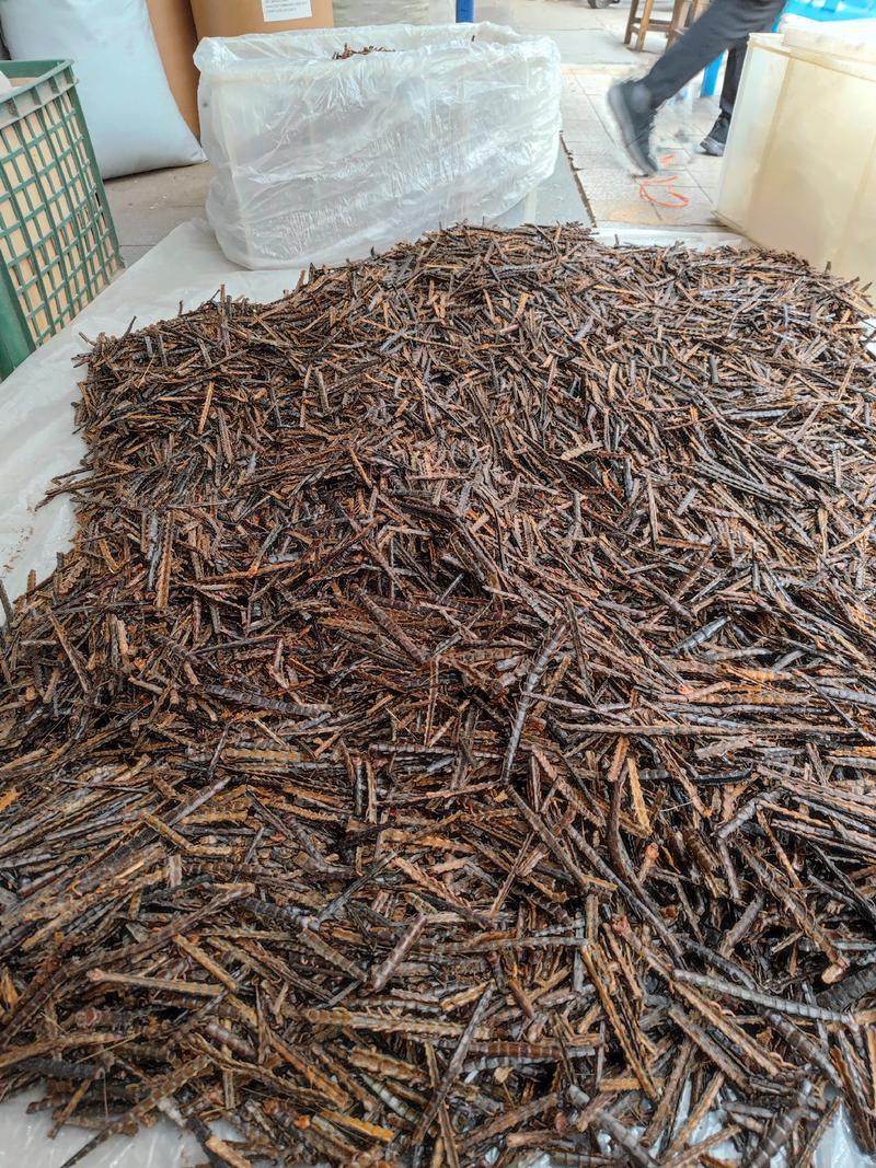 选装蜈蚣优质昆虫药材产地直发大量供应