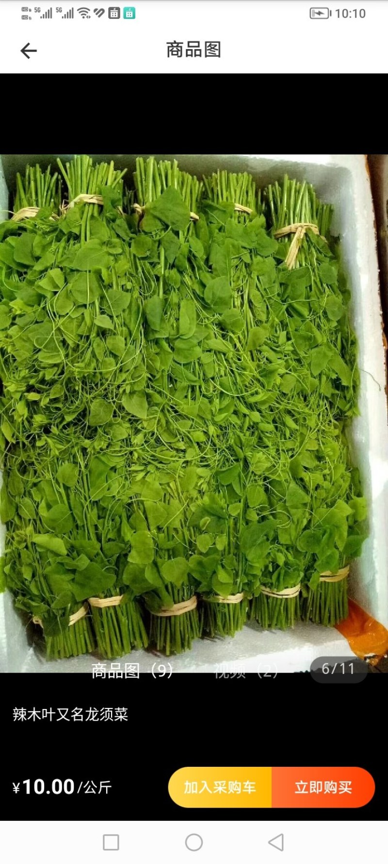 龙须菜，辣木苗，赤苍滕