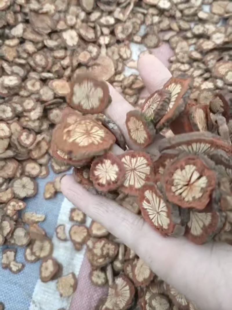 大片血藤血塞通2.0筛选货，一手货大片，只有大片货。