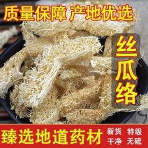 丝瓜络中药材无硫食用老丝瓜瓤茶