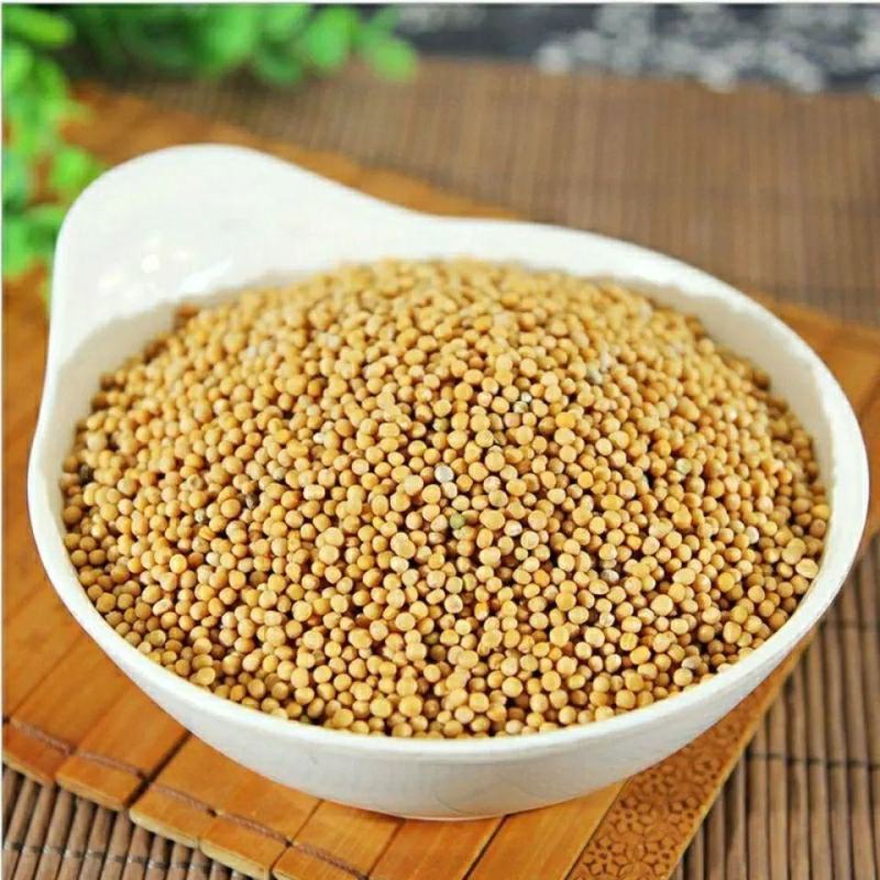 精选野生正品白芥子中药材芥菜子辣菜子炒白芥籽泡茶可磨粉