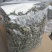 野生艾草叶干艾草艾灸泡脚泡澡艾草中医足浴粉药包批发