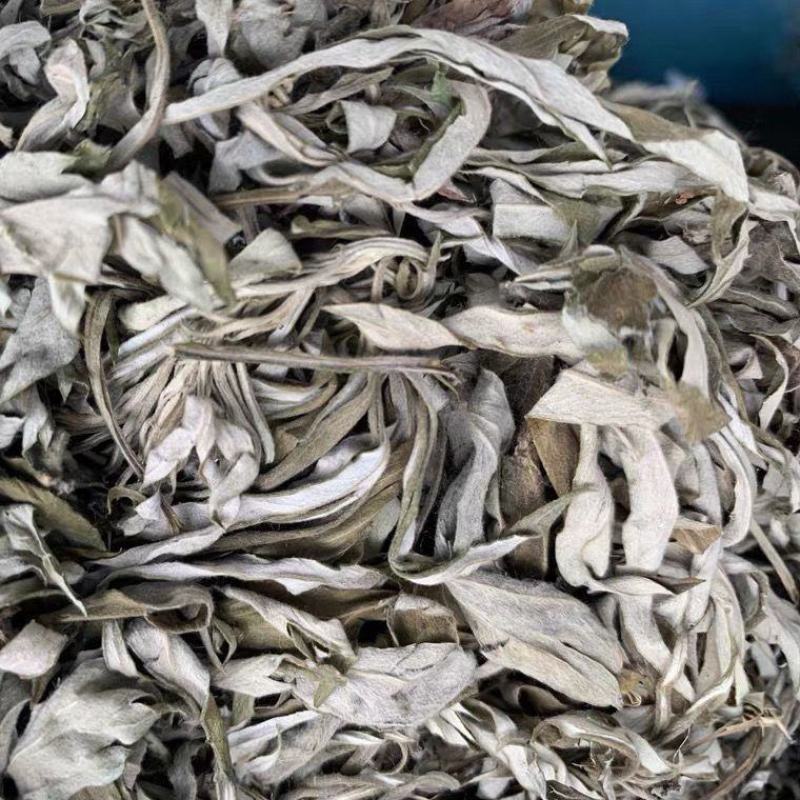野生艾草叶干艾草艾灸泡脚泡澡艾草中医足浴粉药包批发