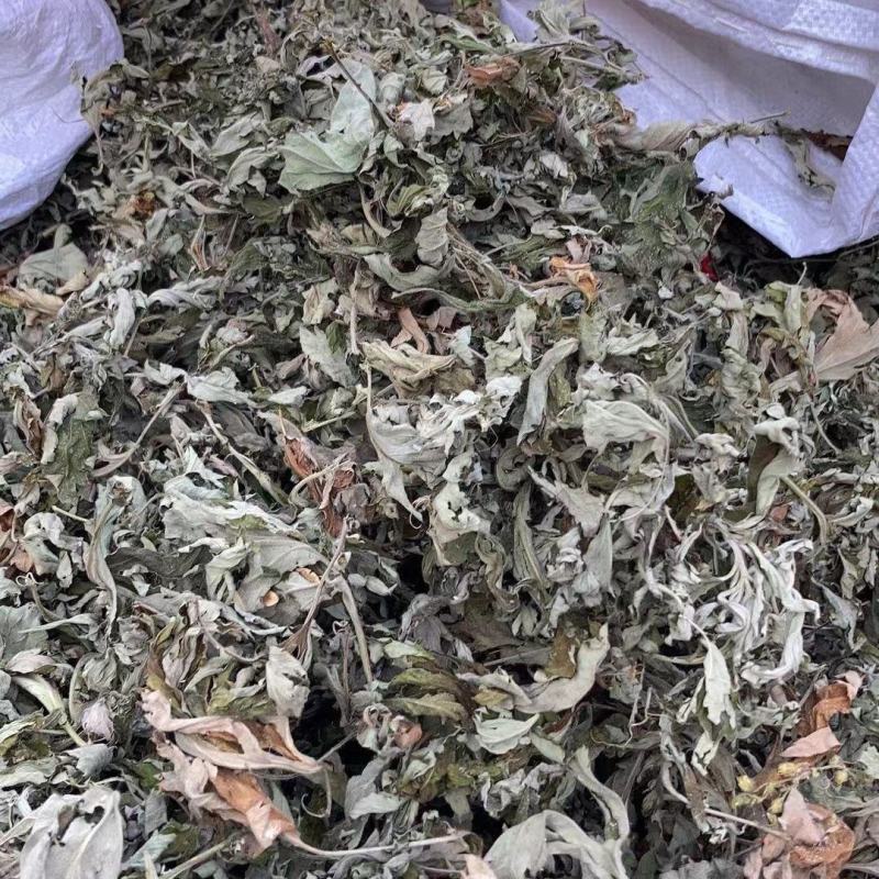 野生艾草叶干艾草艾灸泡脚泡澡艾草中医足浴粉药包批发