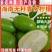 海南薄皮香水柠檬味一级果新鲜现摘四季青皮无籽奶茶店专用手