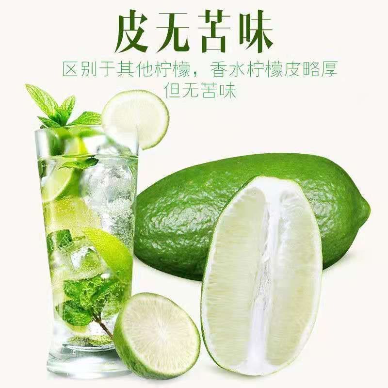 海南薄皮香水柠檬味一级果新鲜现摘四季青皮无籽奶茶店专用手
