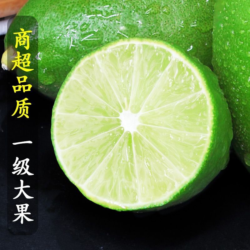海南薄皮香水柠檬味一级果新鲜现摘四季青皮无籽奶茶店专用手