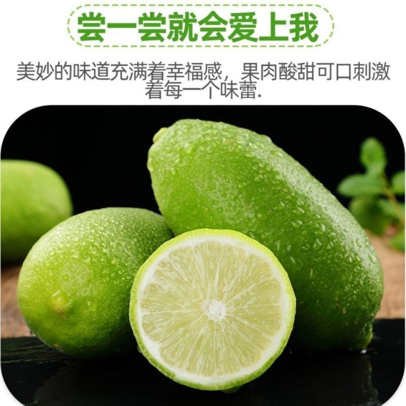 海南薄皮香水柠檬味一级果新鲜现摘四季青皮无籽奶茶店专用手