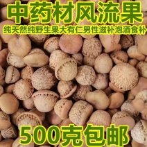 正品风流果野生风流果批发广西龟头子2022年新鲜干货包邮