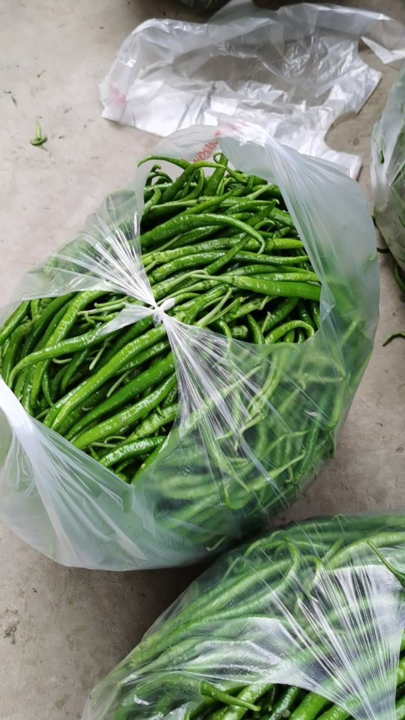 二荆条，辣椒，鲜辣椒，小海椒，线椒