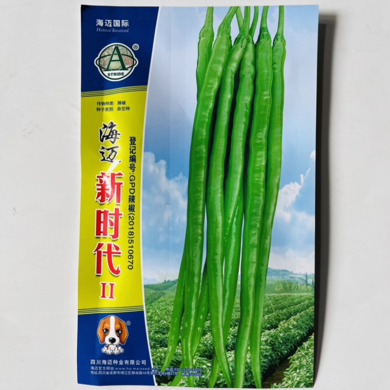长龙56线椒种子品种，杂交一代青皮品种辣味中辣种子品种