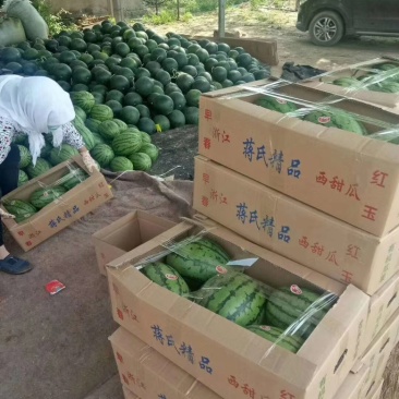 山东潍坊产地全美2k小糖丸产地直销一手货源可以电联