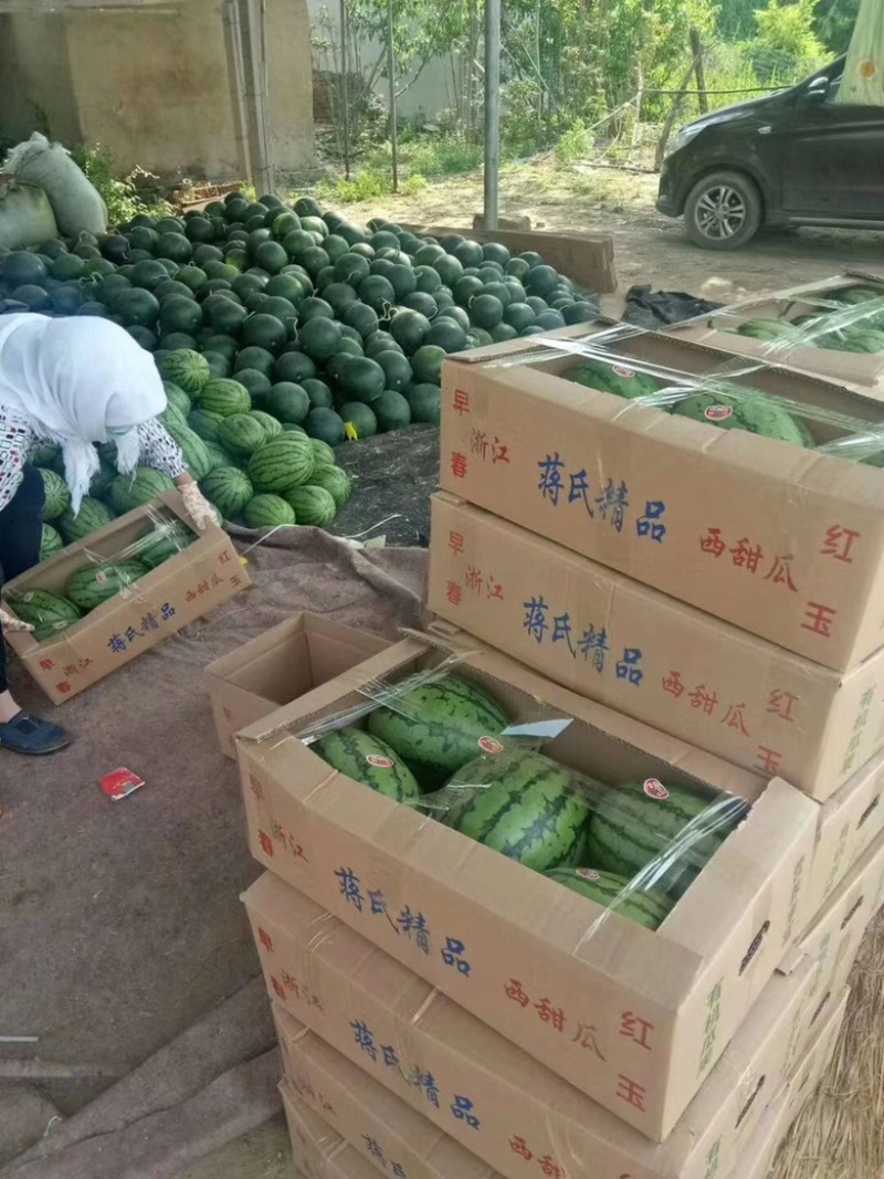山东潍坊产地全美2k小糖丸产地直销一手货源可以电联