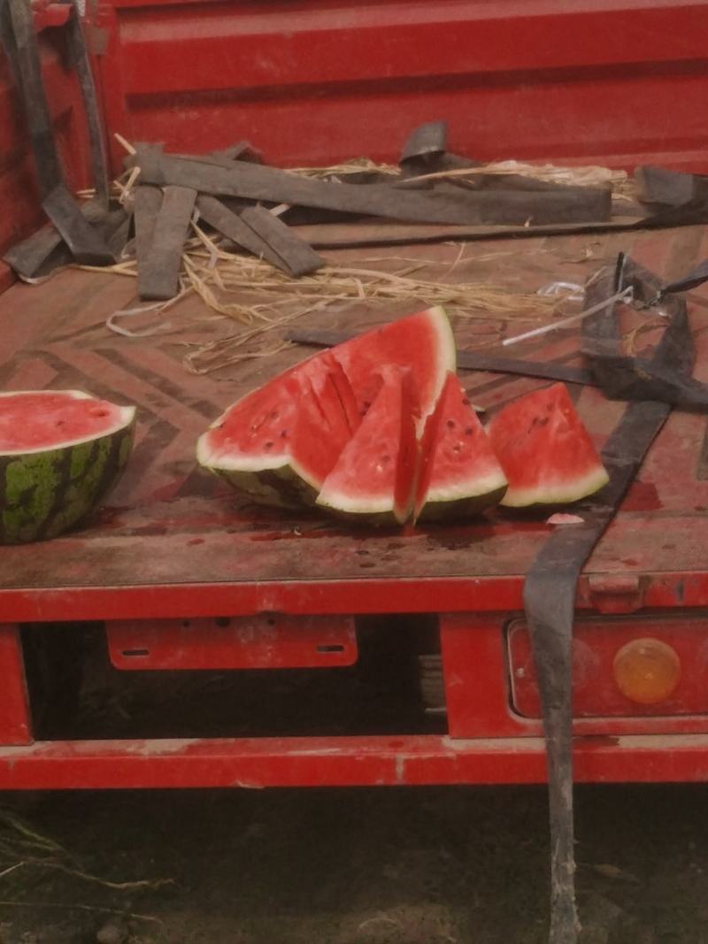 美都精品西瓜，黑子脆甜可口小，甜而不腻，老少孕妇皆宜