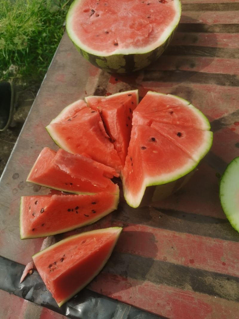美都精品西瓜，黑子脆甜可口小，甜而不腻，老少孕妇皆宜