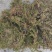 苔藓，干青苔，一手货源批发价