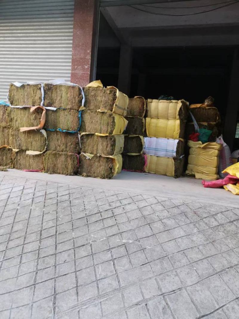 苔藓，干青苔，一手货源批发价