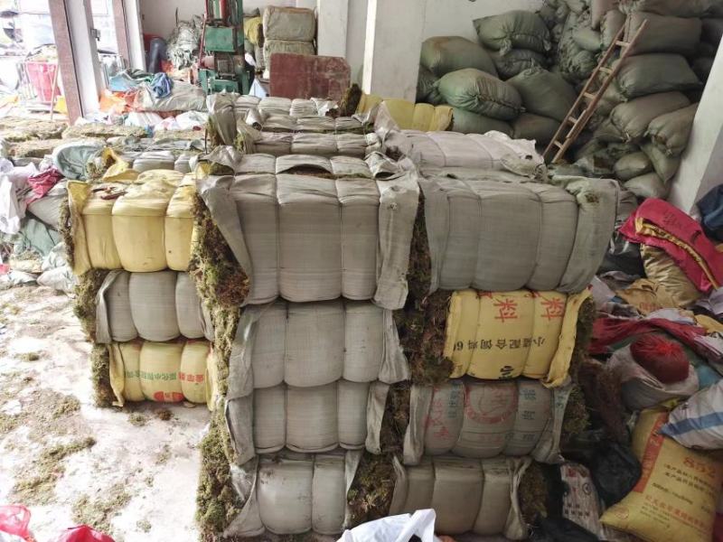 苔藓，干青苔，一手货源批发价