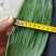 粽叶子