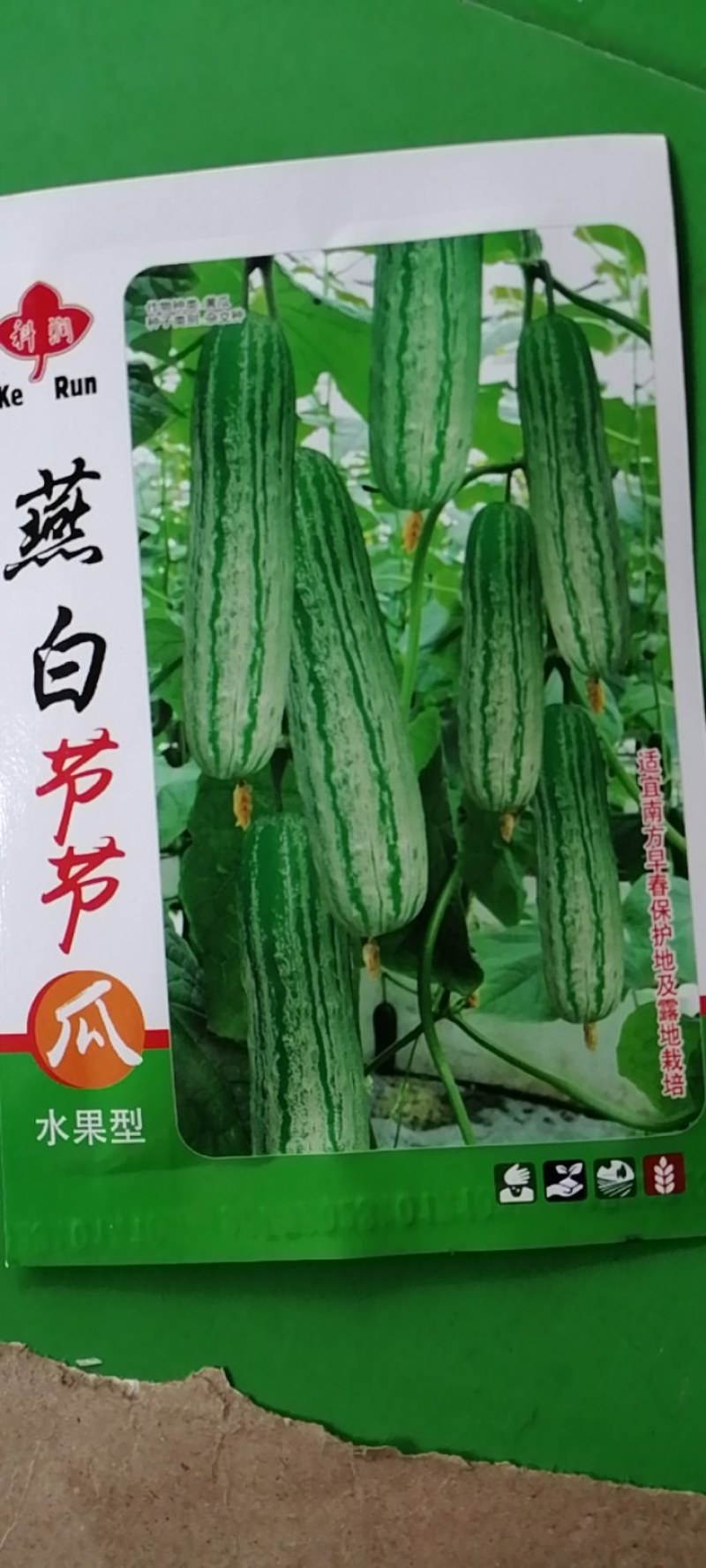 燕白节节瓜，水果型，全国结瓜温度在15度到35度。