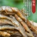 小溪鱼农家自制淡水鱼小河鱼干小溪鱼干银鱼干仔无盐一件代发