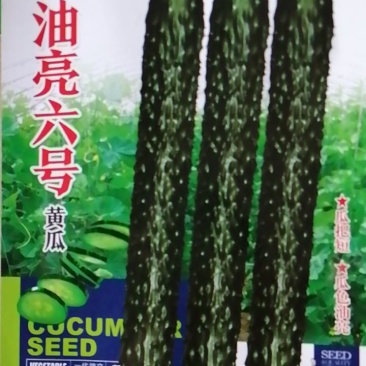 黄瓜种子，耐湿耐热抗病，抗高温，35度正常结瓜。