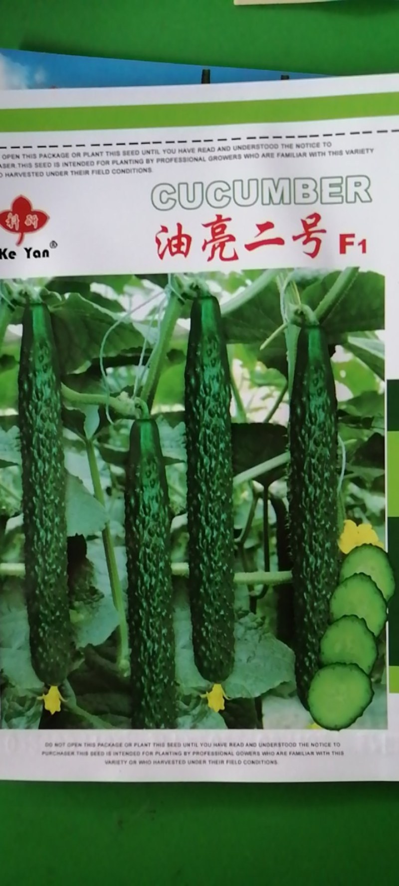 黄瓜种子，耐湿耐热抗病，抗高温，35度正常结瓜。