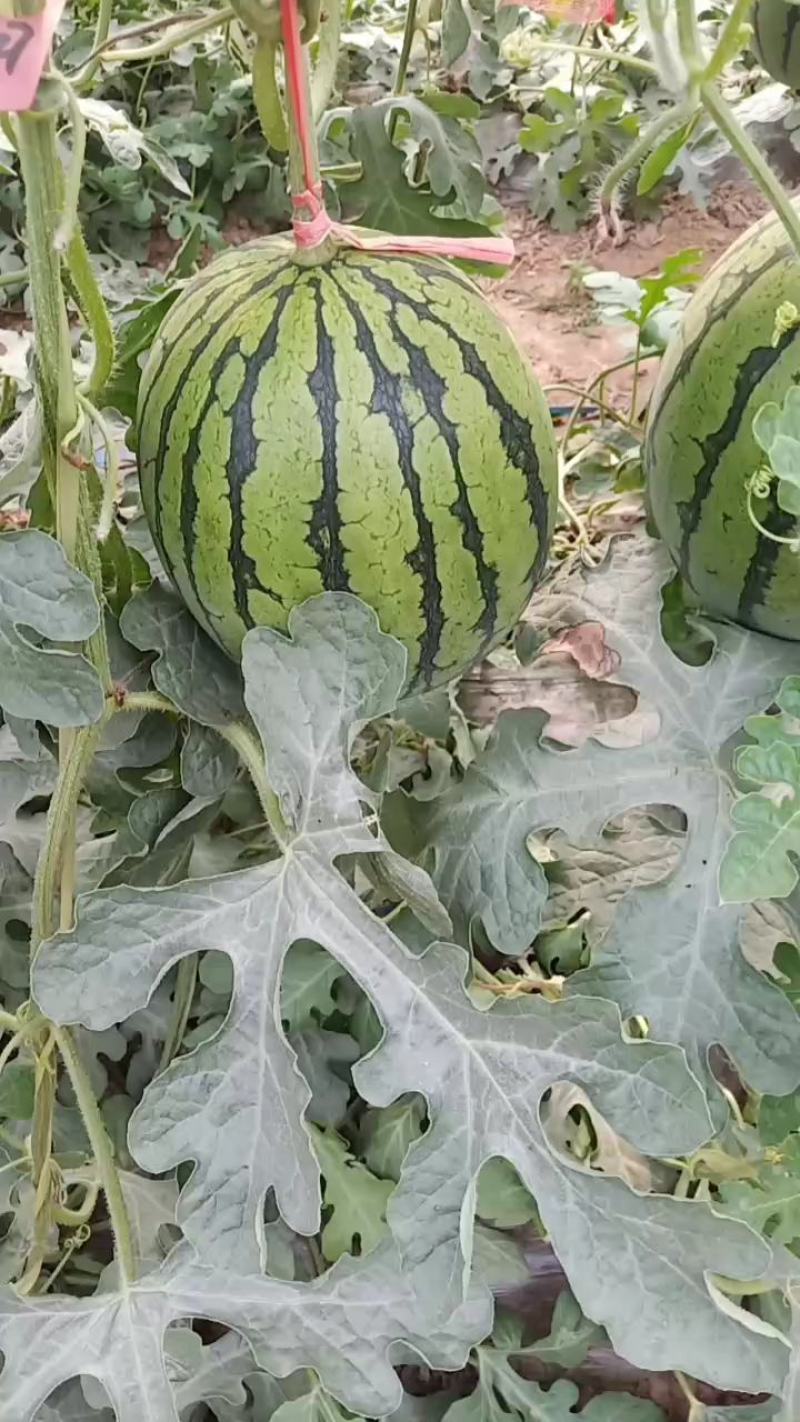 大量供应欢迎各位老板前来选购，保证质量，