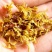 铁皮石斛花干货石斛花欢迎选购！量大从优！