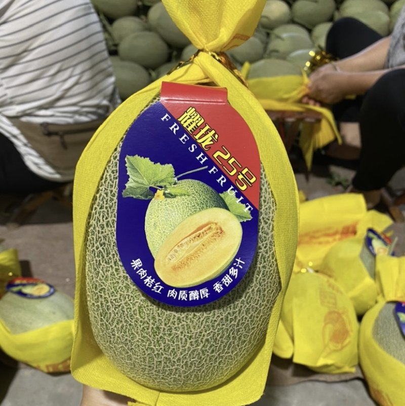 哈密瓜晓蜜25号莘县甜瓜原产地对接各种电商平台