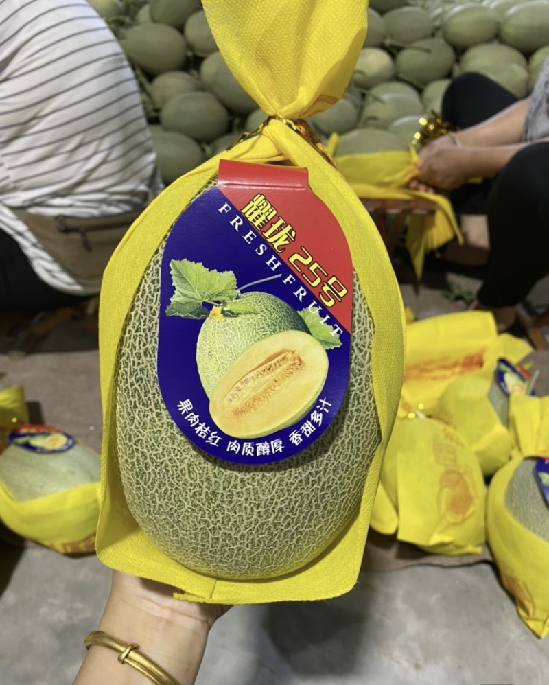哈密瓜晓蜜25号莘县甜瓜原产地对接各种电商平台