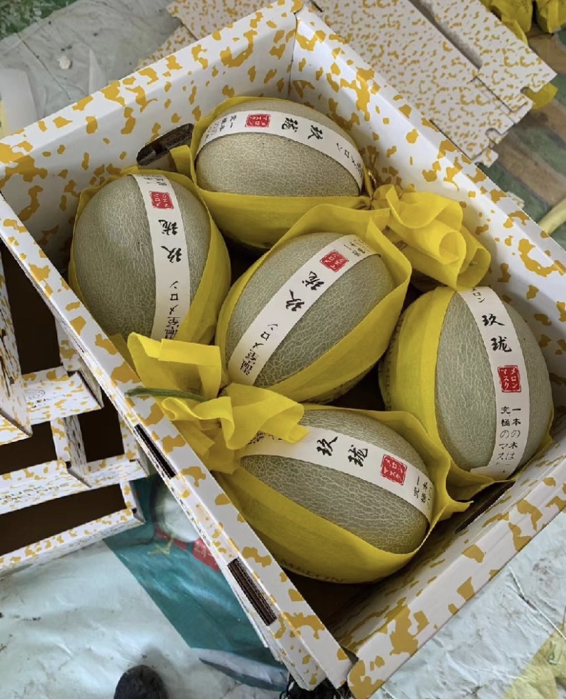 哈密瓜晓蜜25号莘县甜瓜原产地对接各种电商平台